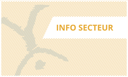 Medische zorgen aan migranten in transit. Wie is bevoegd&nbsp;? 